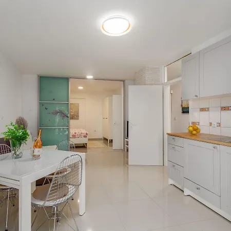 Hundefreundliches Mit Mediterranem Garten - 600 Meter Zum Apartamento Poreč